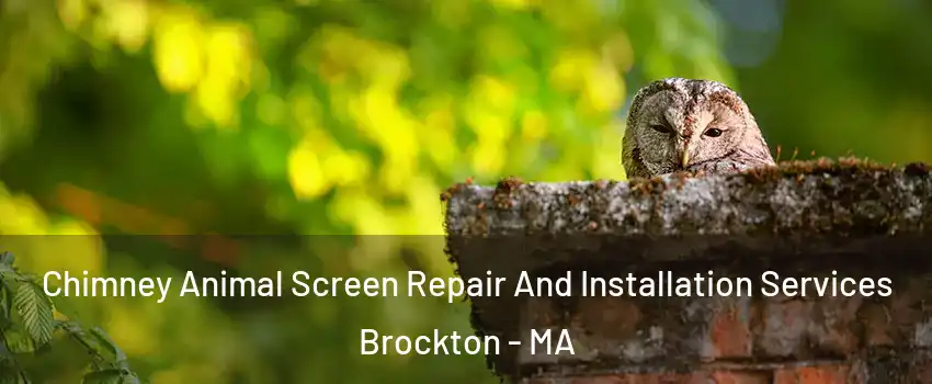  Chimney Animal Screen Repair And Installation Services Brockton - MA