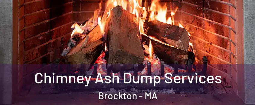  Chimney Ash Dump Services Brockton - MA