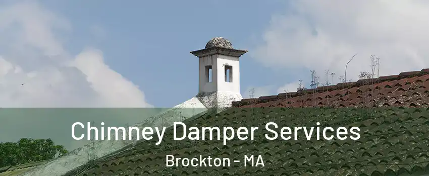  Chimney Damper Services Brockton - MA