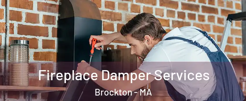  Fireplace Damper Services Brockton - MA