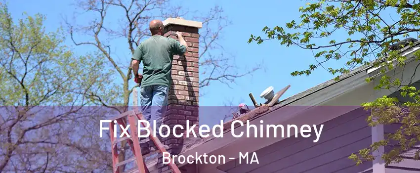 Fix Blocked Chimney Brockton - MA