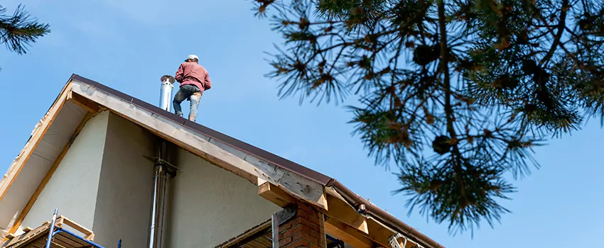 Birds Removal Contractors from Chimney in Brockton, MA